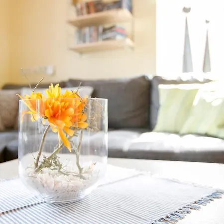 Siegfried * Niebüll