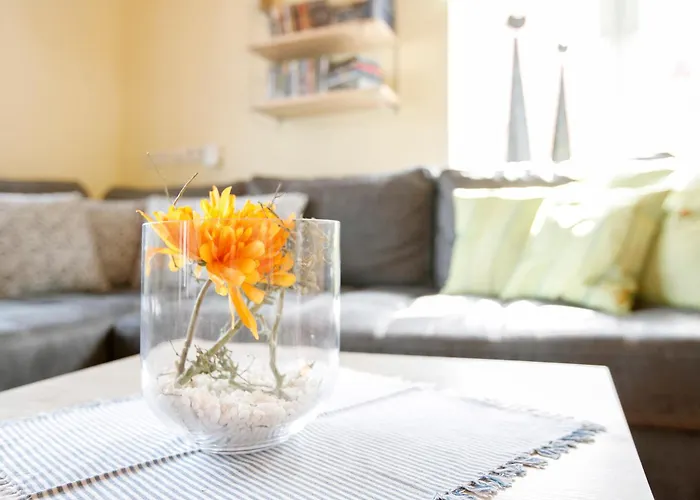 Siegfried * Niebüll